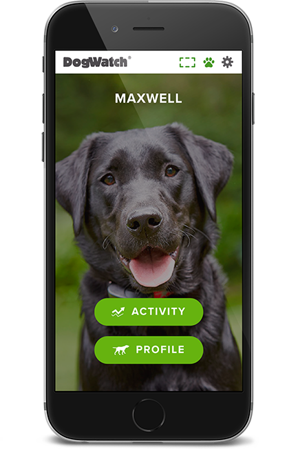 DogWatch of Wisconsin, , Wisconsin | SmartFence WebApp Image