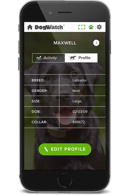 DogWatch of Wisconsin, , Wisconsin | SmartFence WebApp Image