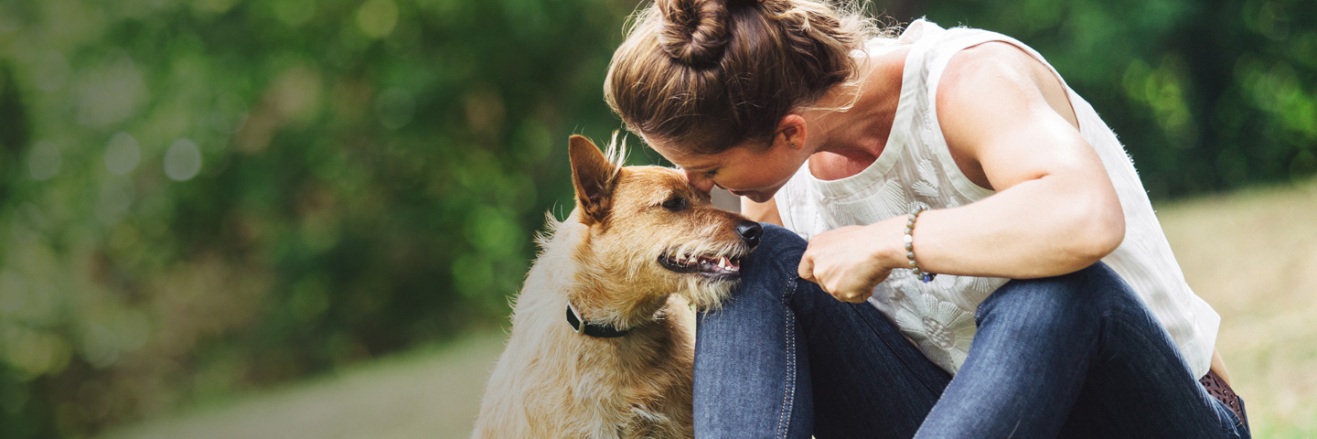 DogWatch of Wisconsin, , Wisconsin | BarkCollar No-Bark Trainer Slider Image